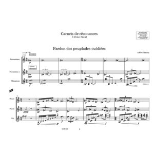 Alternative view of Carnets de résonances